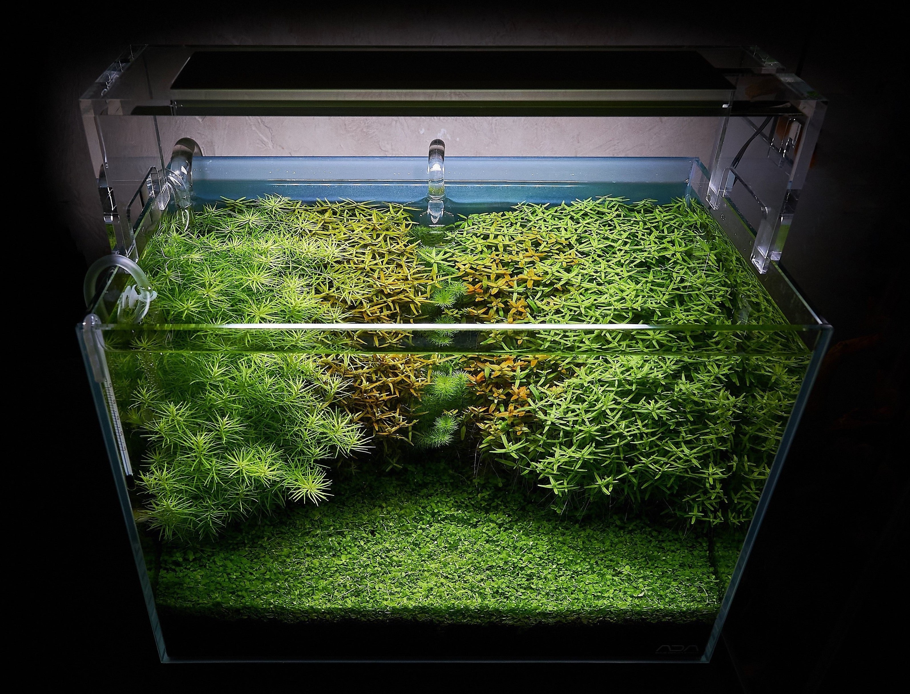 Nano Aquarium - Desktop Fish Tank Ideas