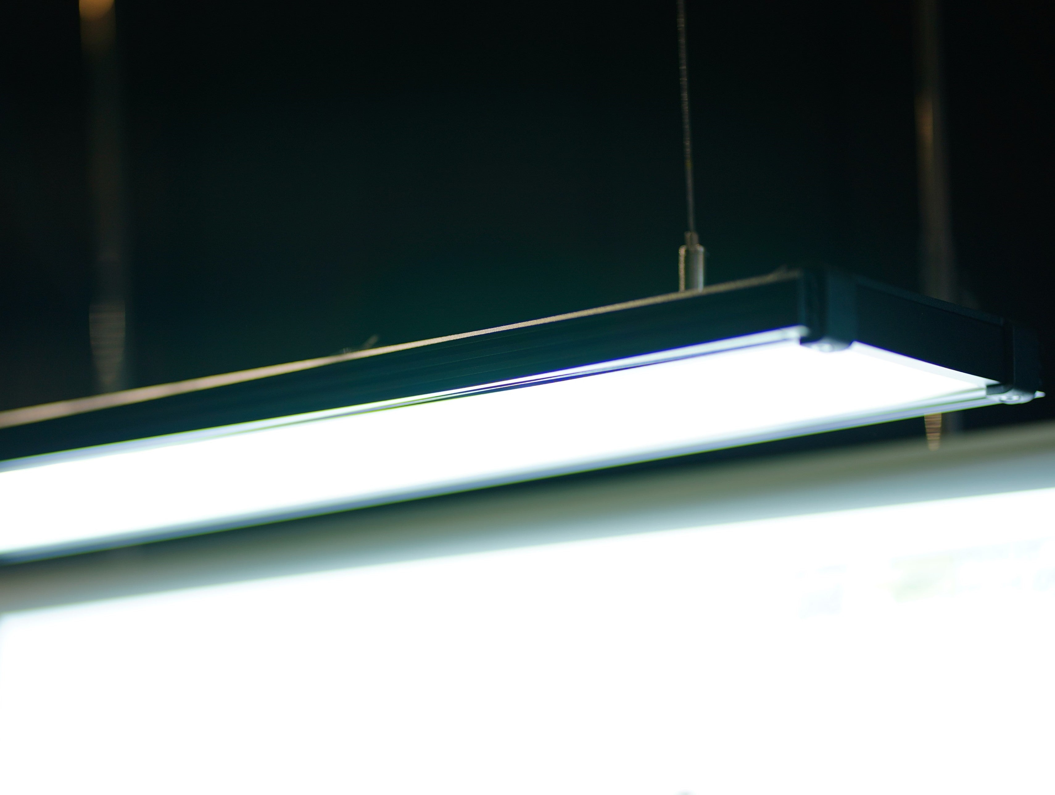 Light for Planted Tank