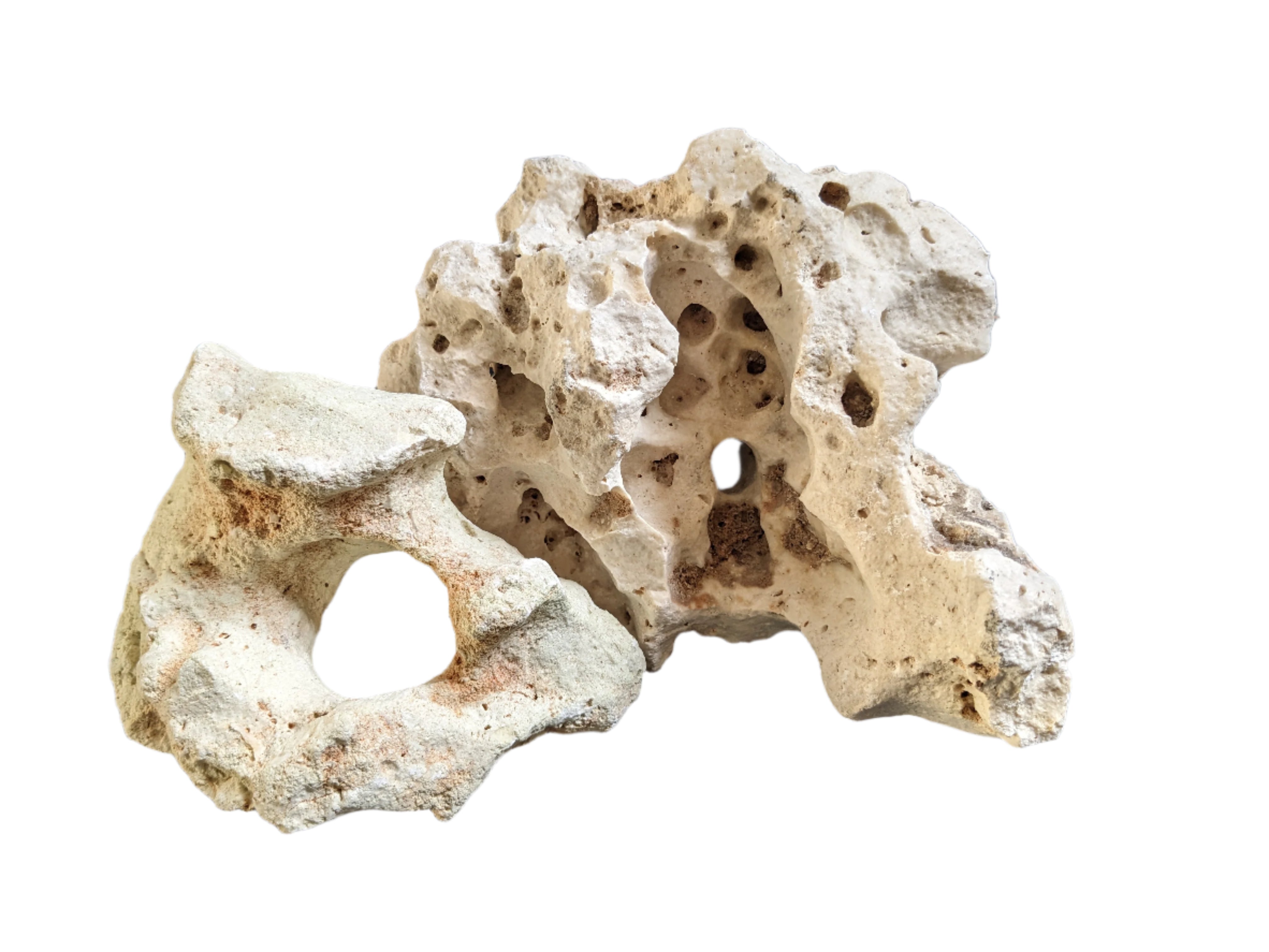 Ocean Rock for an Aquarium