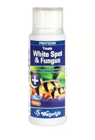 Waterlife Protozin - White Spot & Fungus 100ml