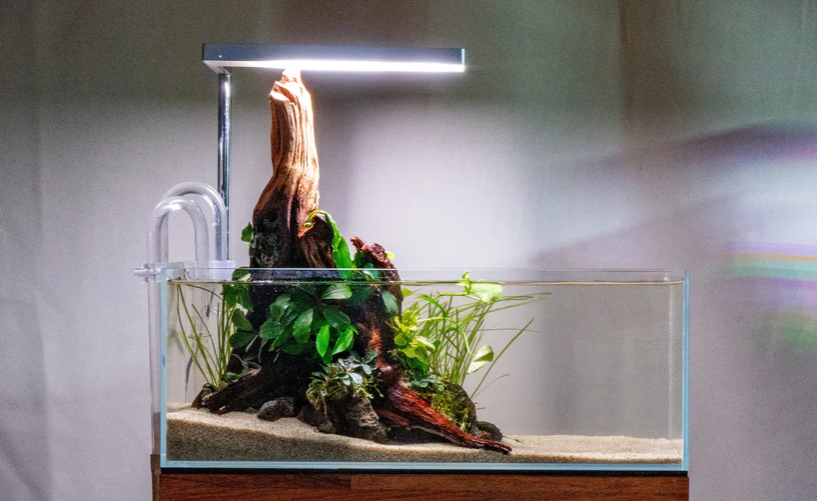 UNS 45L Long Rimless Aquarium (45x17x17cm)
