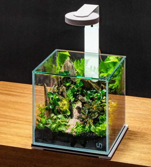 UNS 20C Cube Rimless Aquarium (20x20x20cm) 7.9 Liters