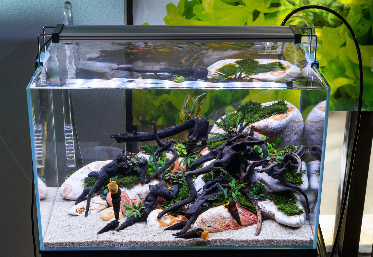 UNS 45U Standard Rimless Aquarium (45x28x28cm) 35.2 litres