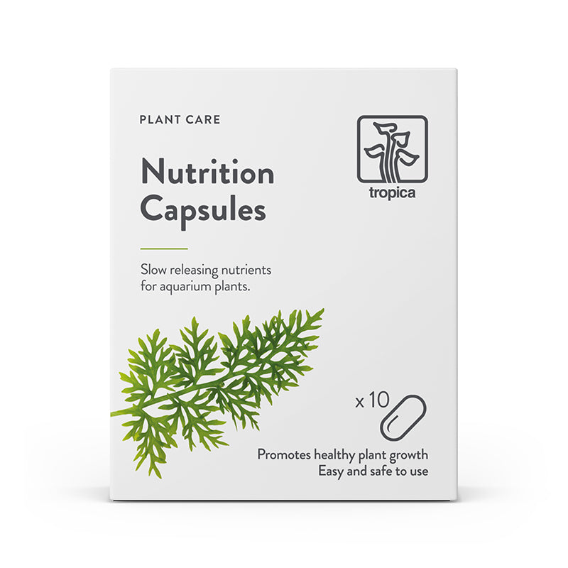 Tropica nutrition capsules 10 pack