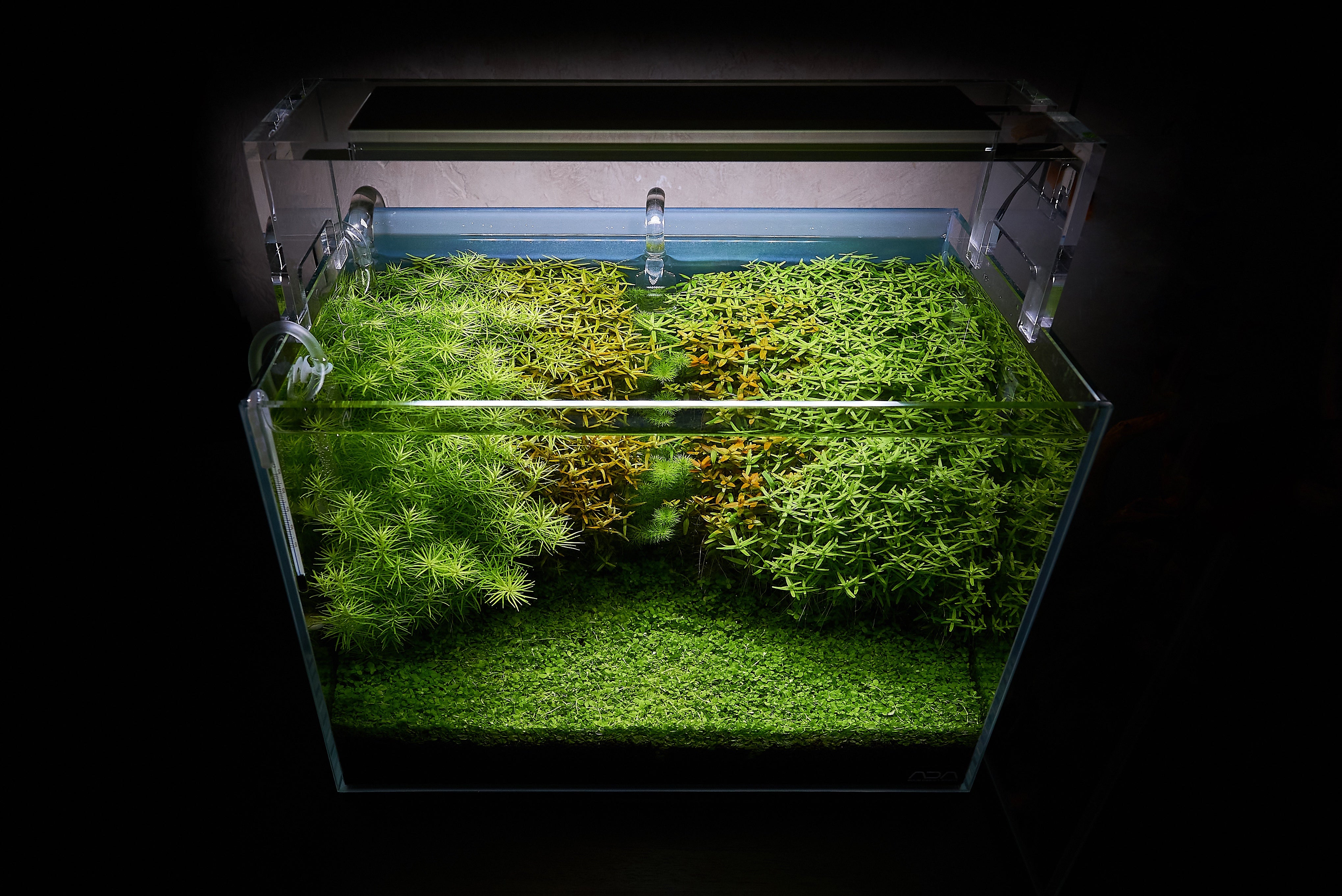 Nano Aquascape Kit