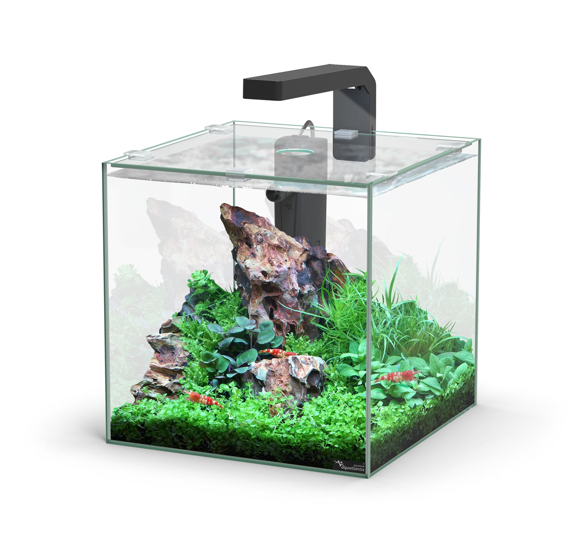 Kubus 10L Aquarium