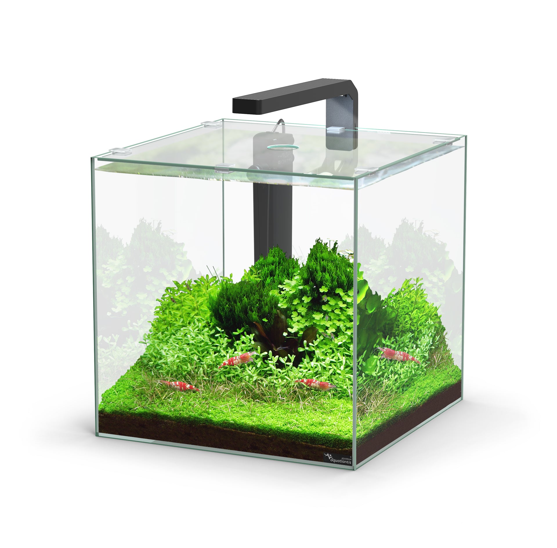 Kubus 33L Aquarium