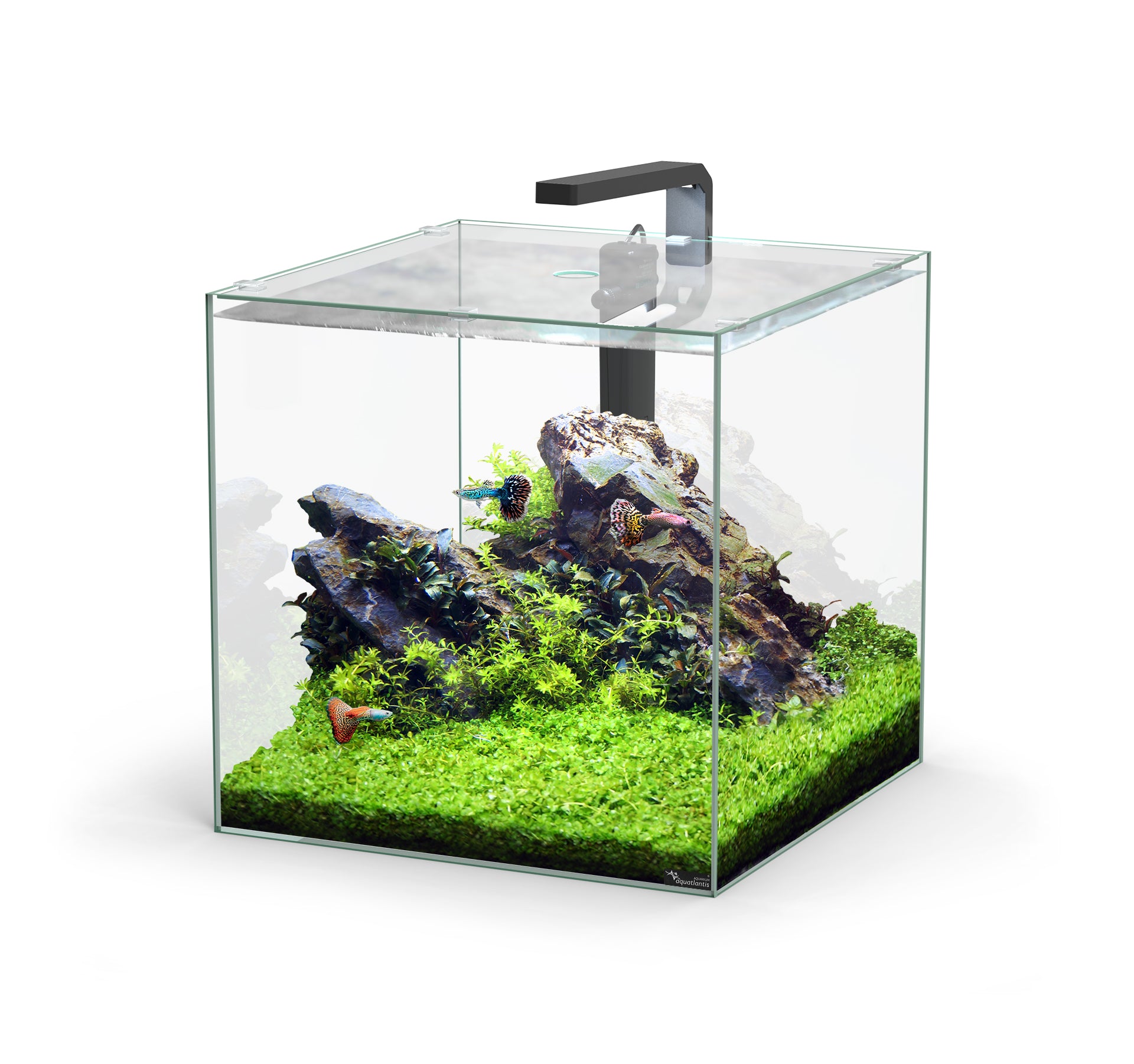 Kubus 54L Aquarium