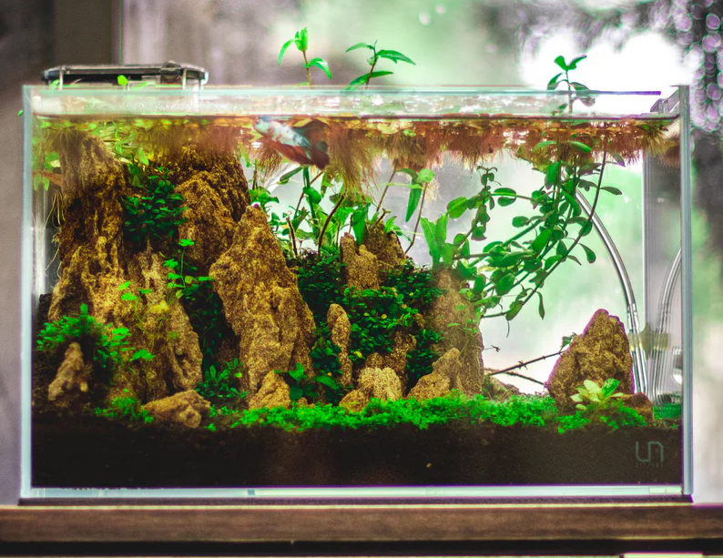 UNS 5N Nano Rimless Aquarium (36x22x22cm)