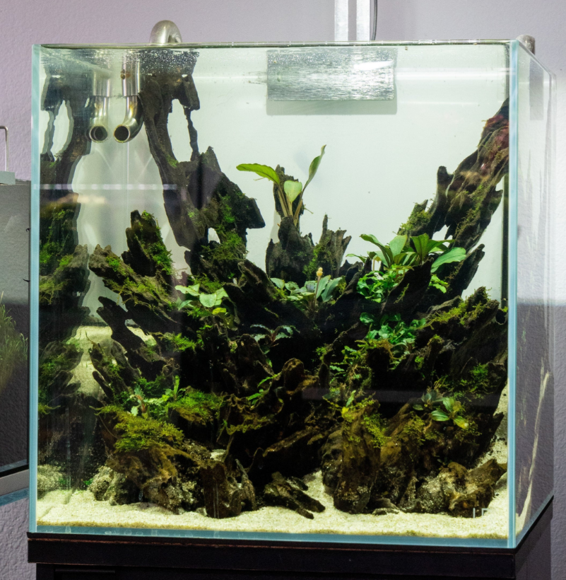 UNS 40C Cube Rimless Aquarium (40x40x40cm) 63.9 Liters